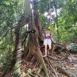 Biiig trees