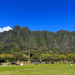 Klippen von Jurassic Park