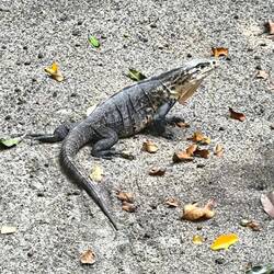 Denen ist es nirgends zu warm...