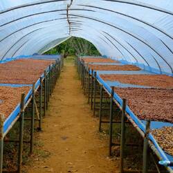 Zum einmonatigen Trocknen