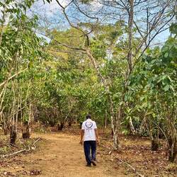 Besuch einer Kaffeeplantage
