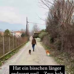 Die Spaziergänge dauern jetzt ein bisschen länger 🤭