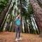 Chris blends right in with the redwoods