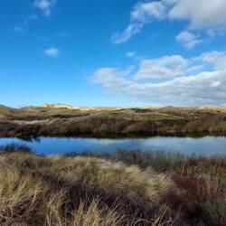 Es gibt sehr viel Wasser in den Dünen