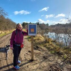 Die Ausschilderung ist Gold wert