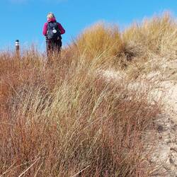 Rauf und runter, die Pfosten geben gute Orientierung.