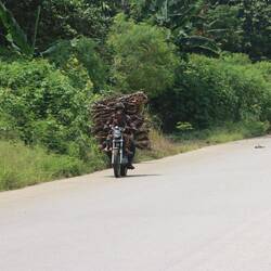 ...gibt es immer wieder gute Beispiele...