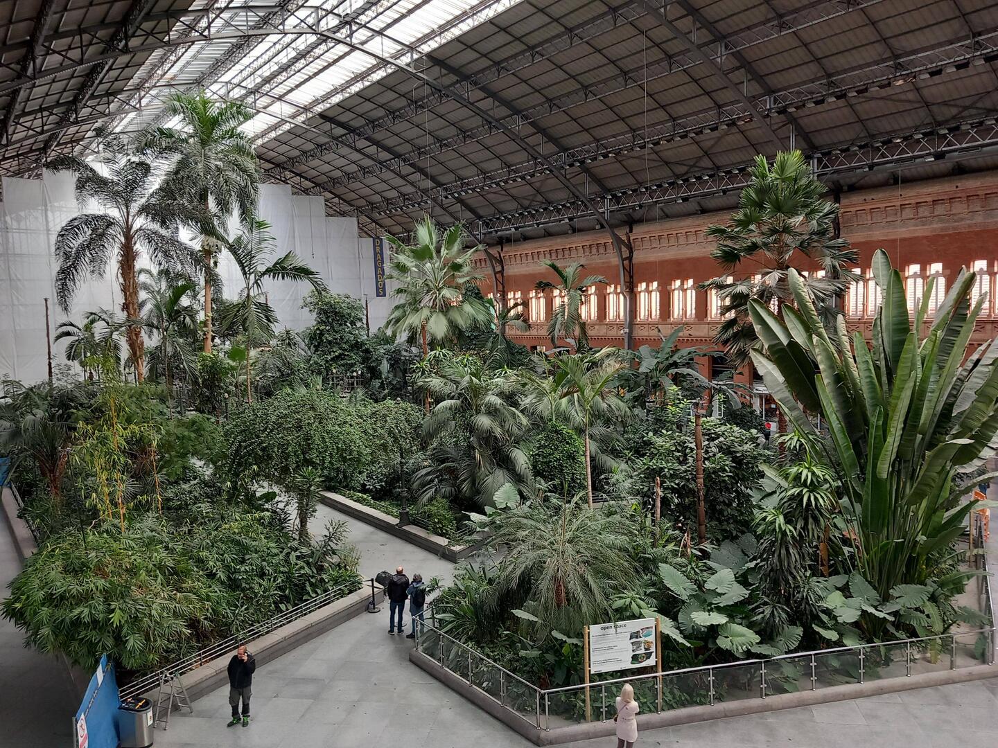 La gare d'Atocha et ses palmiers !