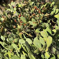 Die könnte man essen 👌