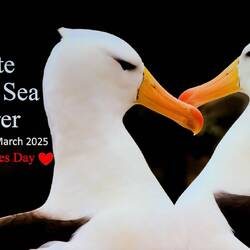 Valentine's Day Recap Slide.