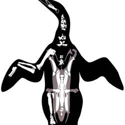 Wings became flippers since the animals that prey on penguins are in the sea.