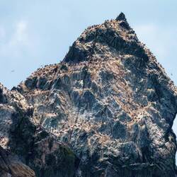 Shag Rocks ... Scotia Sea.