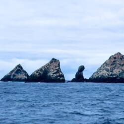 Shag Rocks ... Scotia Sea.