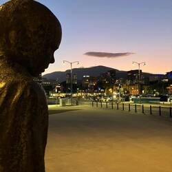 Mt. Wellington again