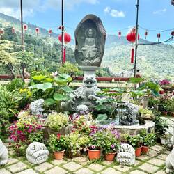 Lovely setting with beautiful plants