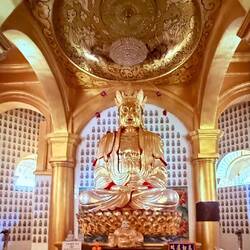 Beautiful golden Budda