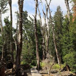Dafür eine kleinere Wanderung