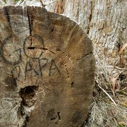 Ja, wohin soll er denn gehen?