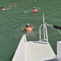 Die Männer schwimmen an den Strand