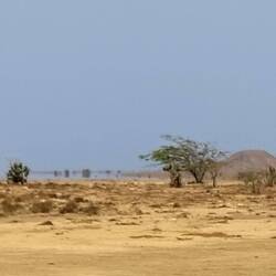 The crazy Mirage of Sal