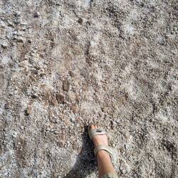 Walking on the salt flats