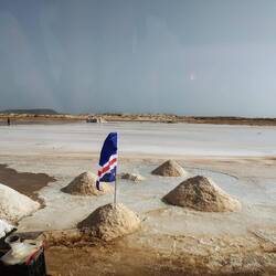 The salt farms
