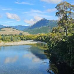 Picture from a bridge of the stream we fished