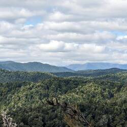 Mt Robert