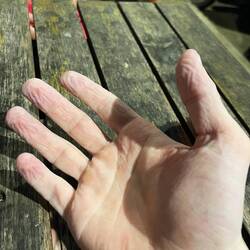 So het d hand nachher im Resti usgseh 🥴 Feierabend für hüt, morn am 6i namal 2 Tauchgäng 😮‍💨🥴🤿💪🏽