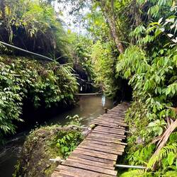 Weg zum Wasserfall 1