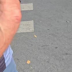 Just crossing the street.......