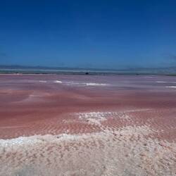 Pink Lake