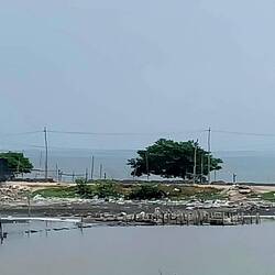 Müll, nix als Müll