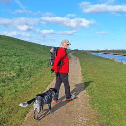 ....oder neben den Deichen.