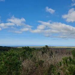 ...wieder mit Meerblick.