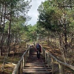 Hinauf auf die höchste Düne der Niederlande.