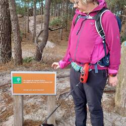 ...hier ist der Beweis!☝️