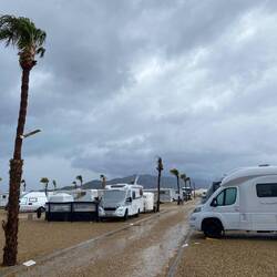 1. März - meteorologischer Frühlingsanfang 🙈