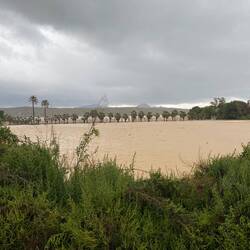 das benachbarte Feld