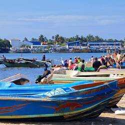 Am Negombo Fischerhafen 🐟🦐