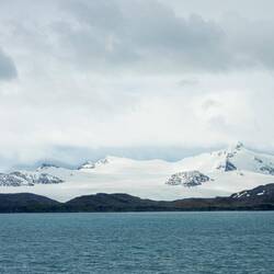 South Georgia Island ... arrival.