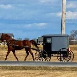 As the Inn is on the highway, we see horse and buggies go past all the time