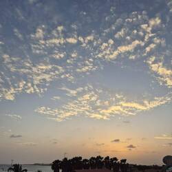 One last Sal-ty sunset