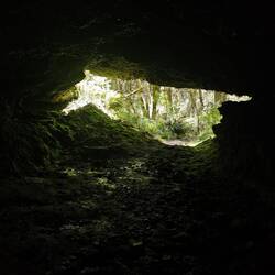Déambulation dans la forêt enchantée et ses grottes
