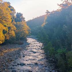 Bain dans la rivière glacée méritée