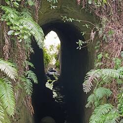 Ein kleiner Tunnel im Dschungel