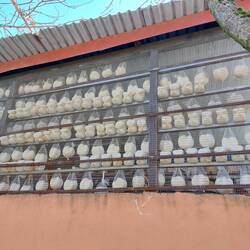 Viele Käsereien am Weg