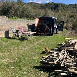 Mehr als 100m geht er nie weg