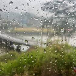 Lots of rain