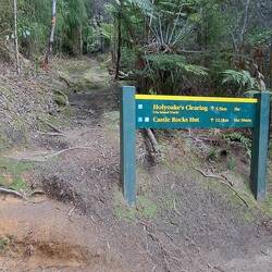 Adding more to my current path? Maybe next time.